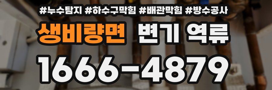 생비량면 변기 역류