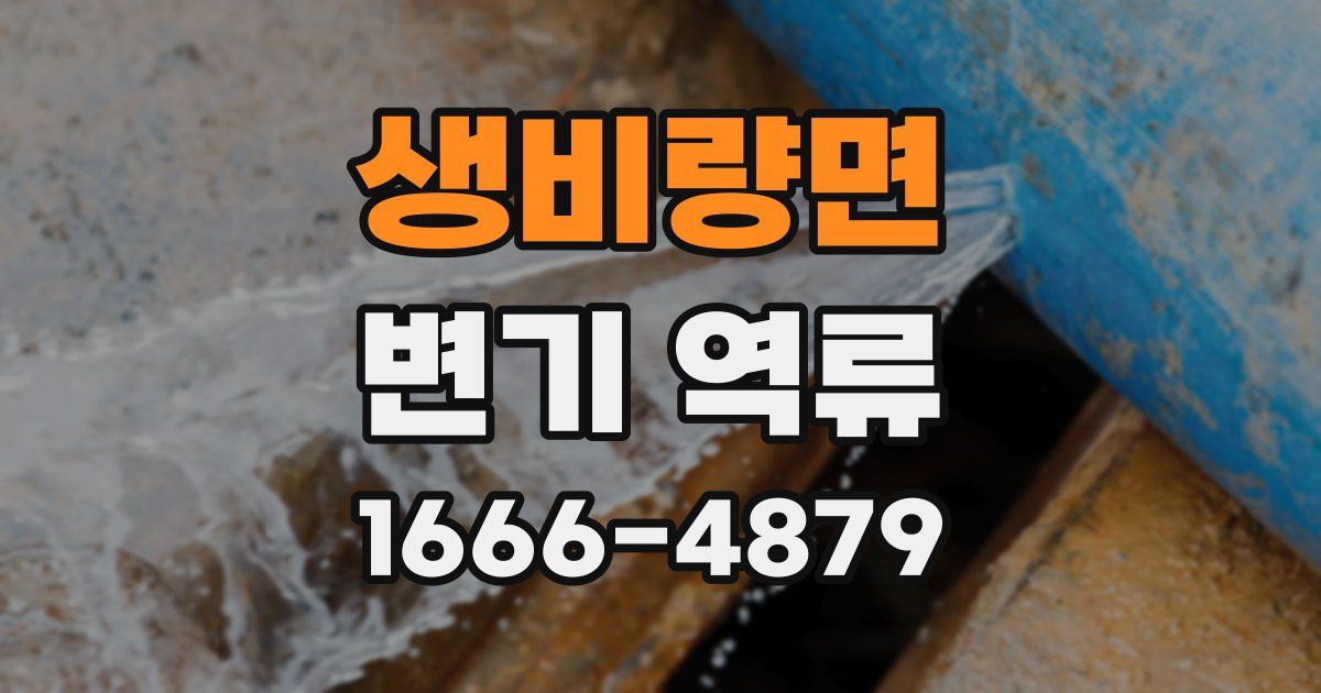 생비량면 변기 역류