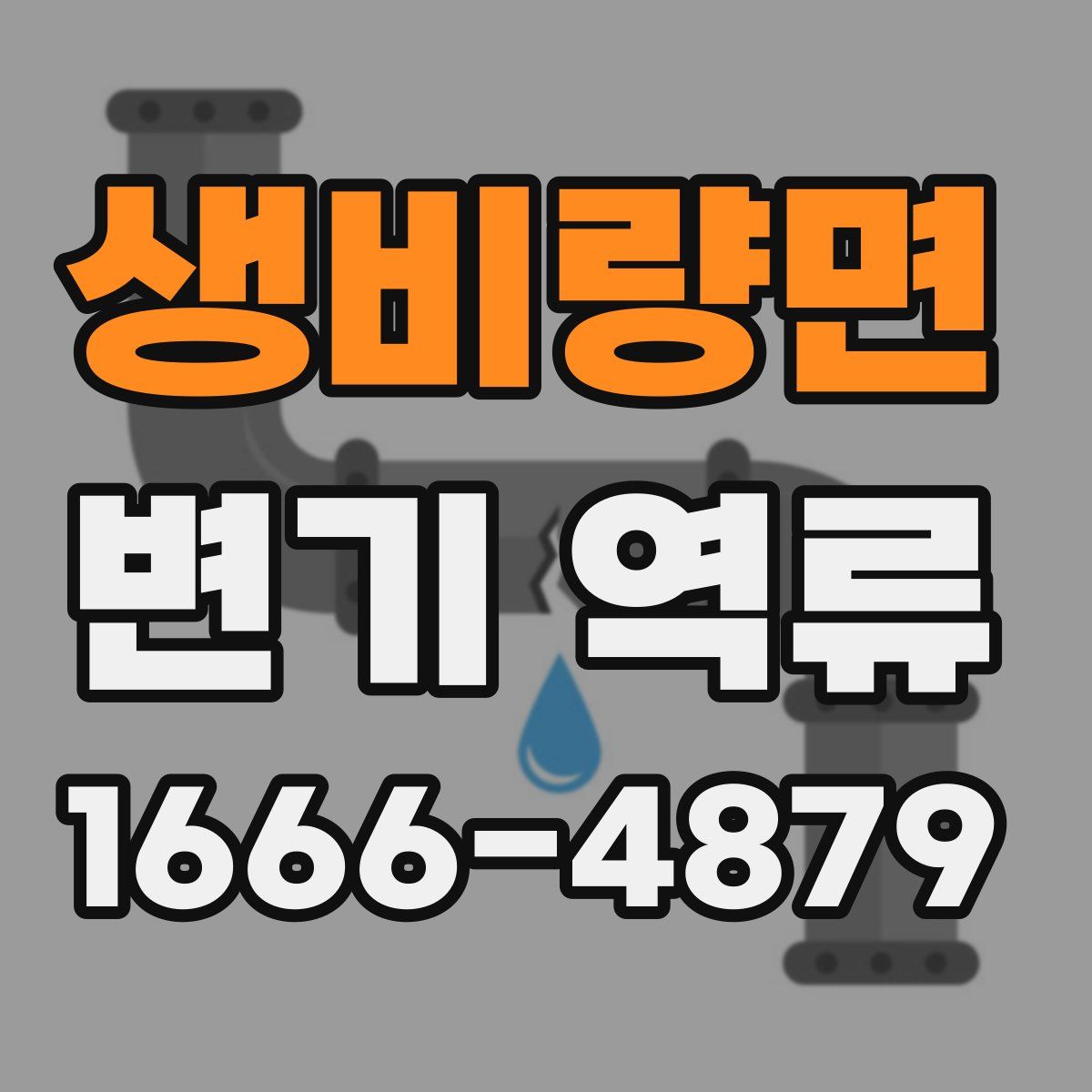 생비량면 변기 역류