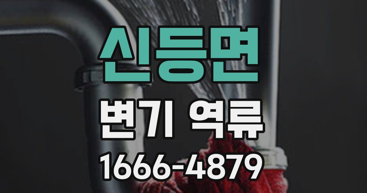 신등면 변기 역류