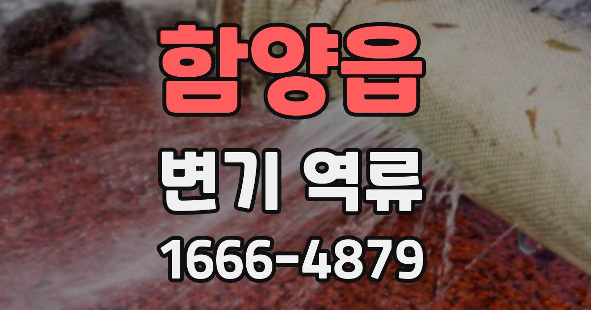 함양읍 변기 역류