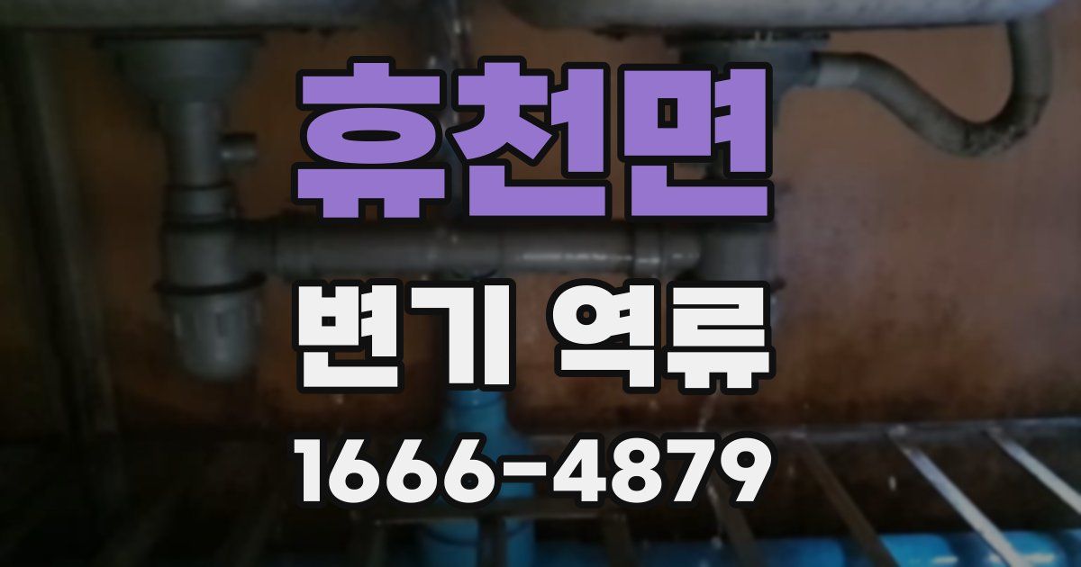 휴천면 변기 역류