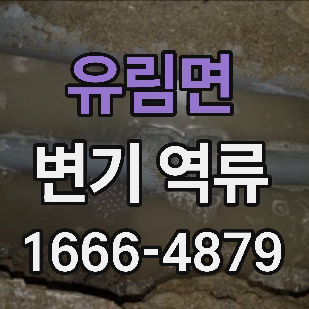 유림면 변기 역류