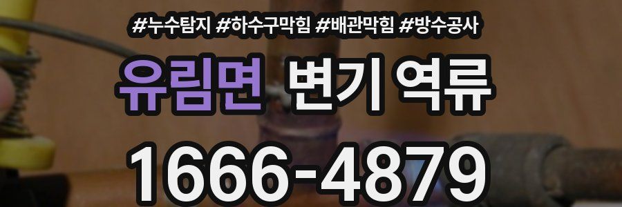 유림면 변기 역류