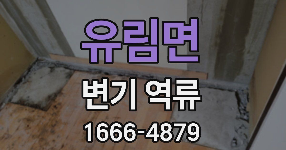 유림면 변기 역류