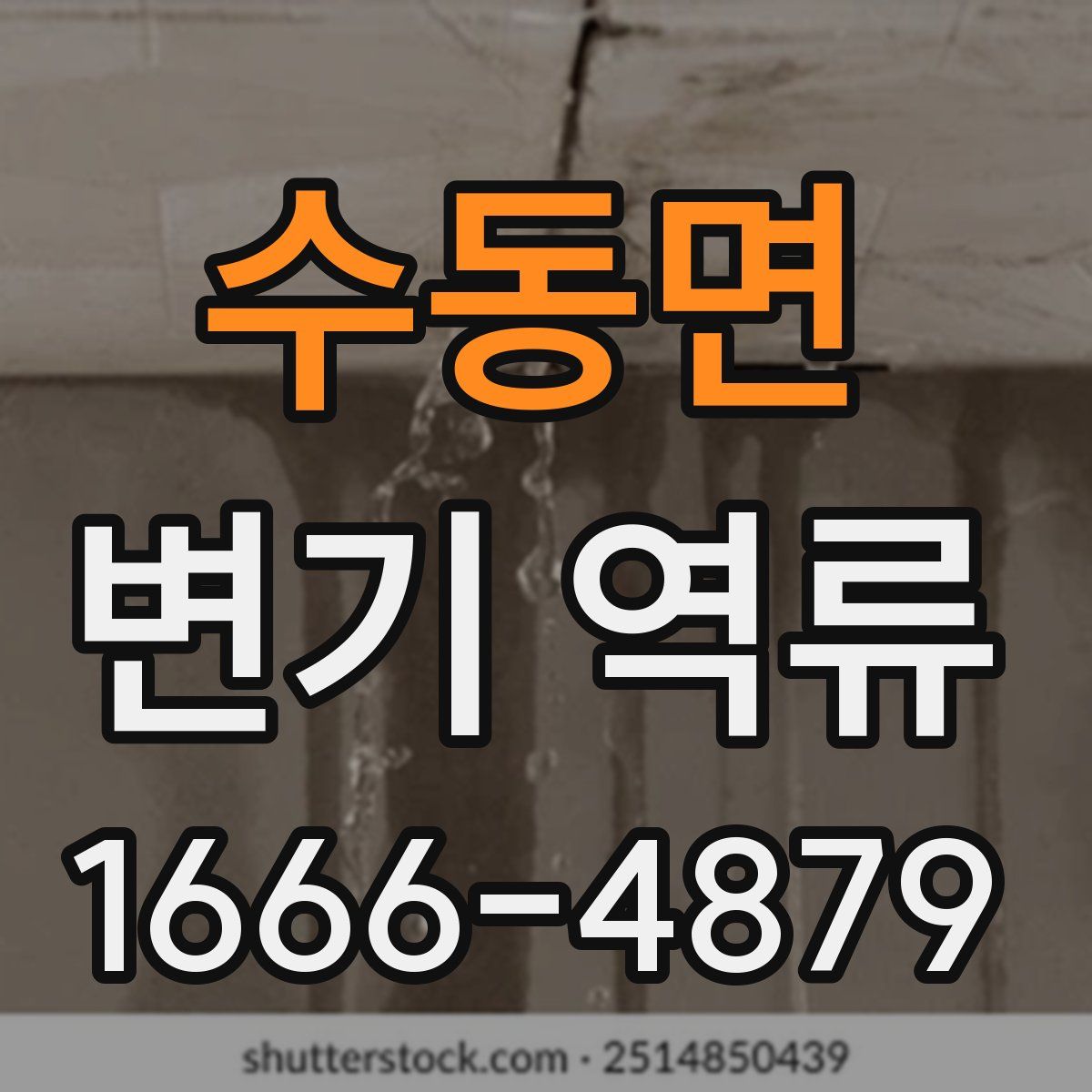 수동면 변기 역류
