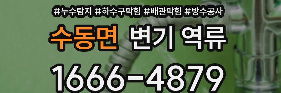 수동면 변기 역류