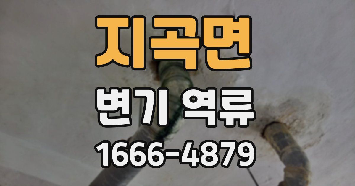지곡면 변기 역류