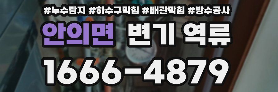 안의면 변기 역류