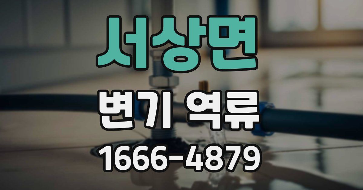 서상면 변기 역류