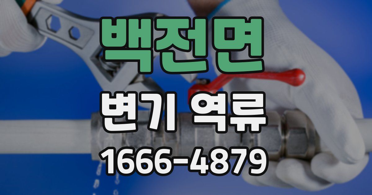 백전면 변기 역류