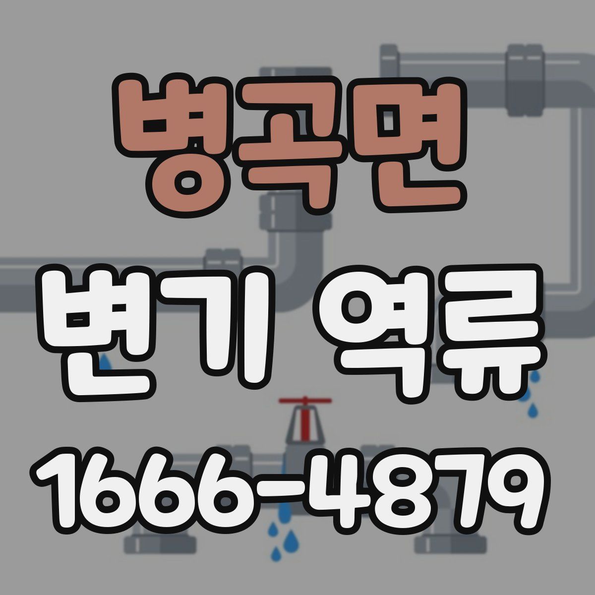 병곡면 변기 역류