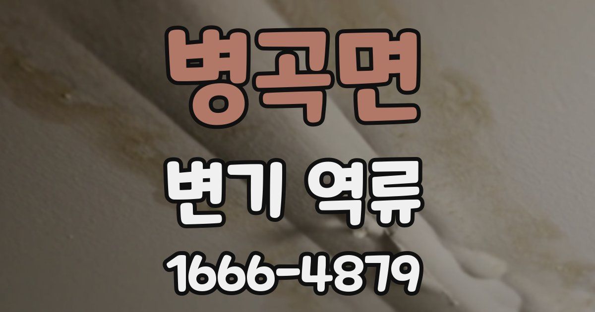 병곡면 변기 역류