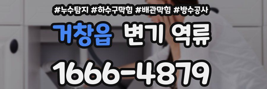 거창읍 변기 역류