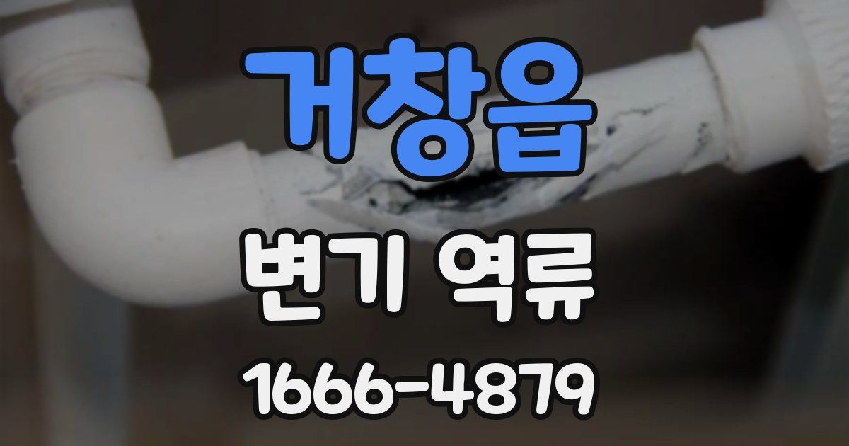 거창읍 변기 역류