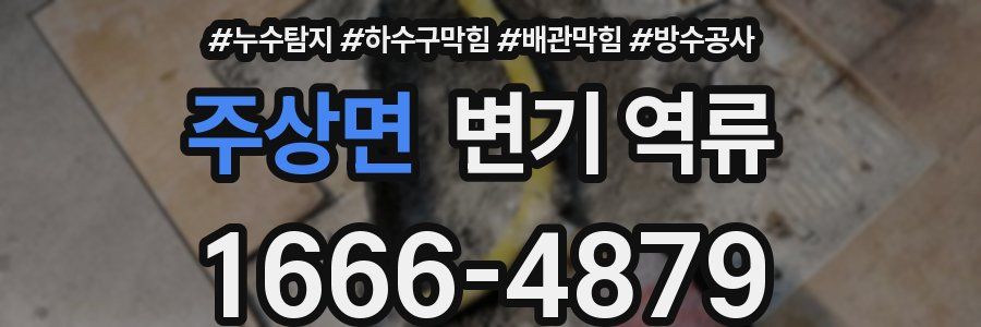 주상면 변기 역류