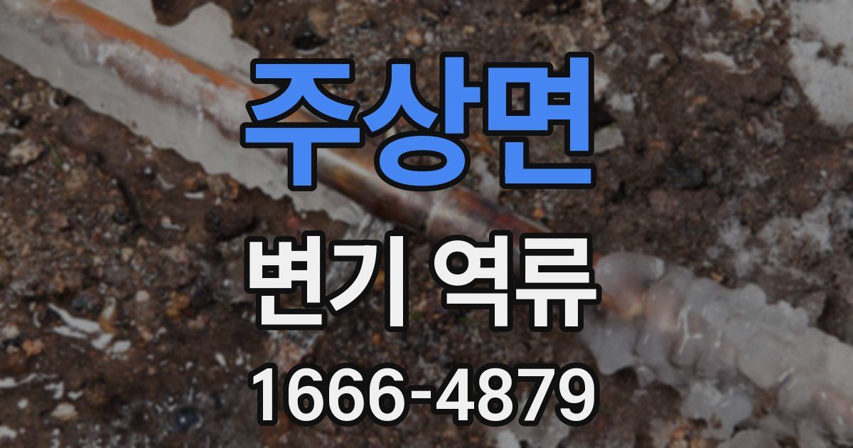 주상면 변기 역류