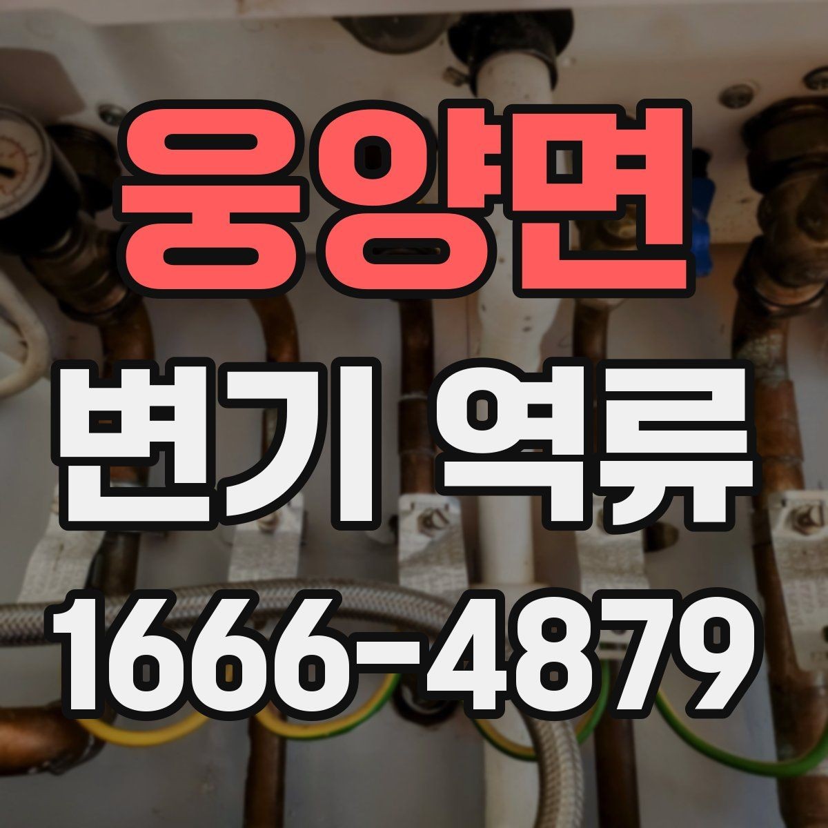 웅양면 변기 역류 새 집에서도 생길 수 있는 이유