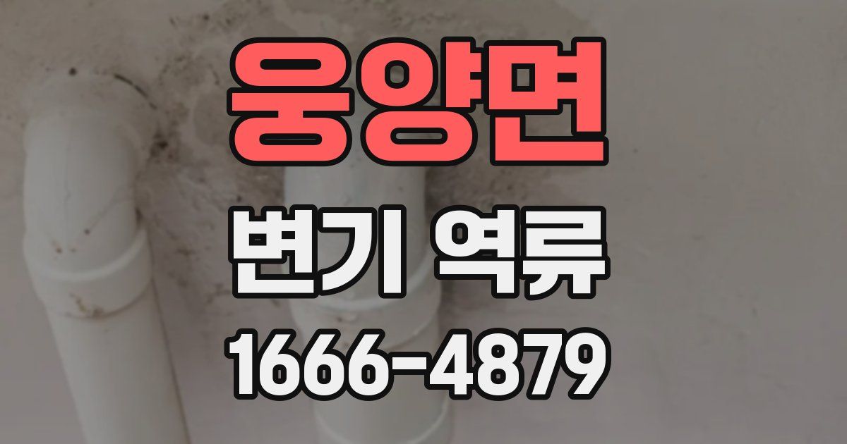 웅양면 변기 역류