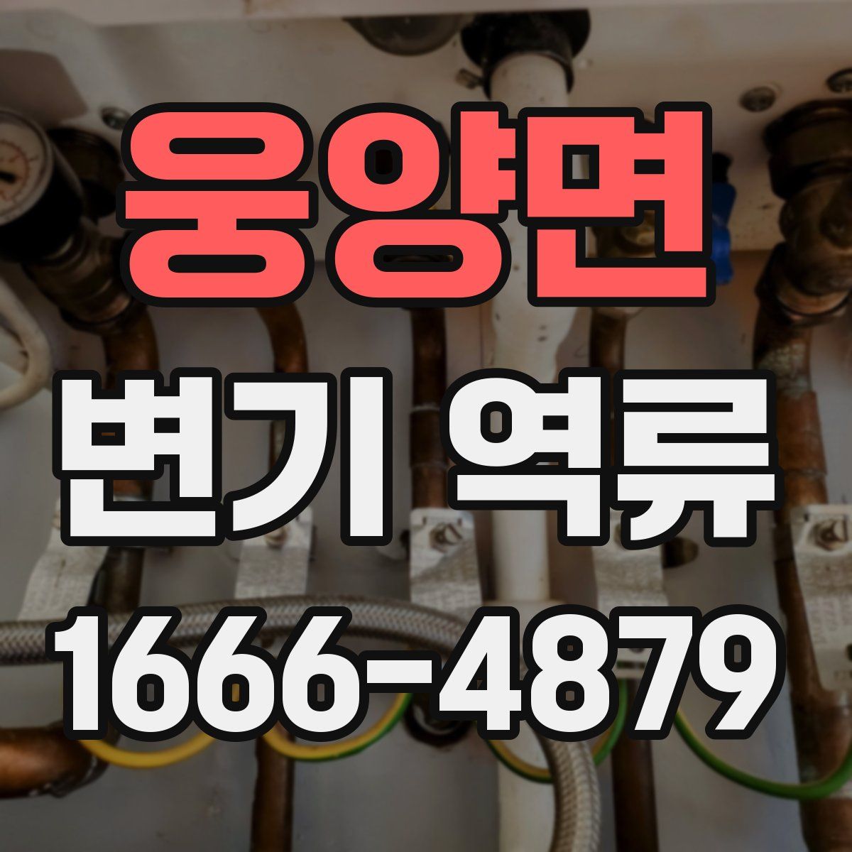 웅양면 변기 역류