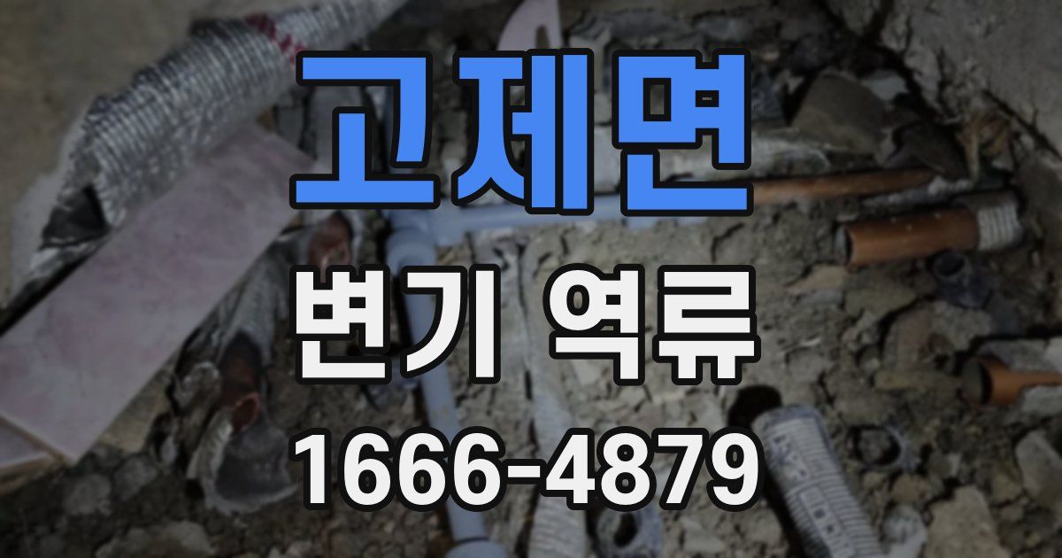 고제면 변기 역류