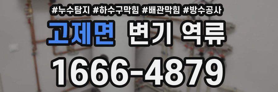 고제면 변기 역류