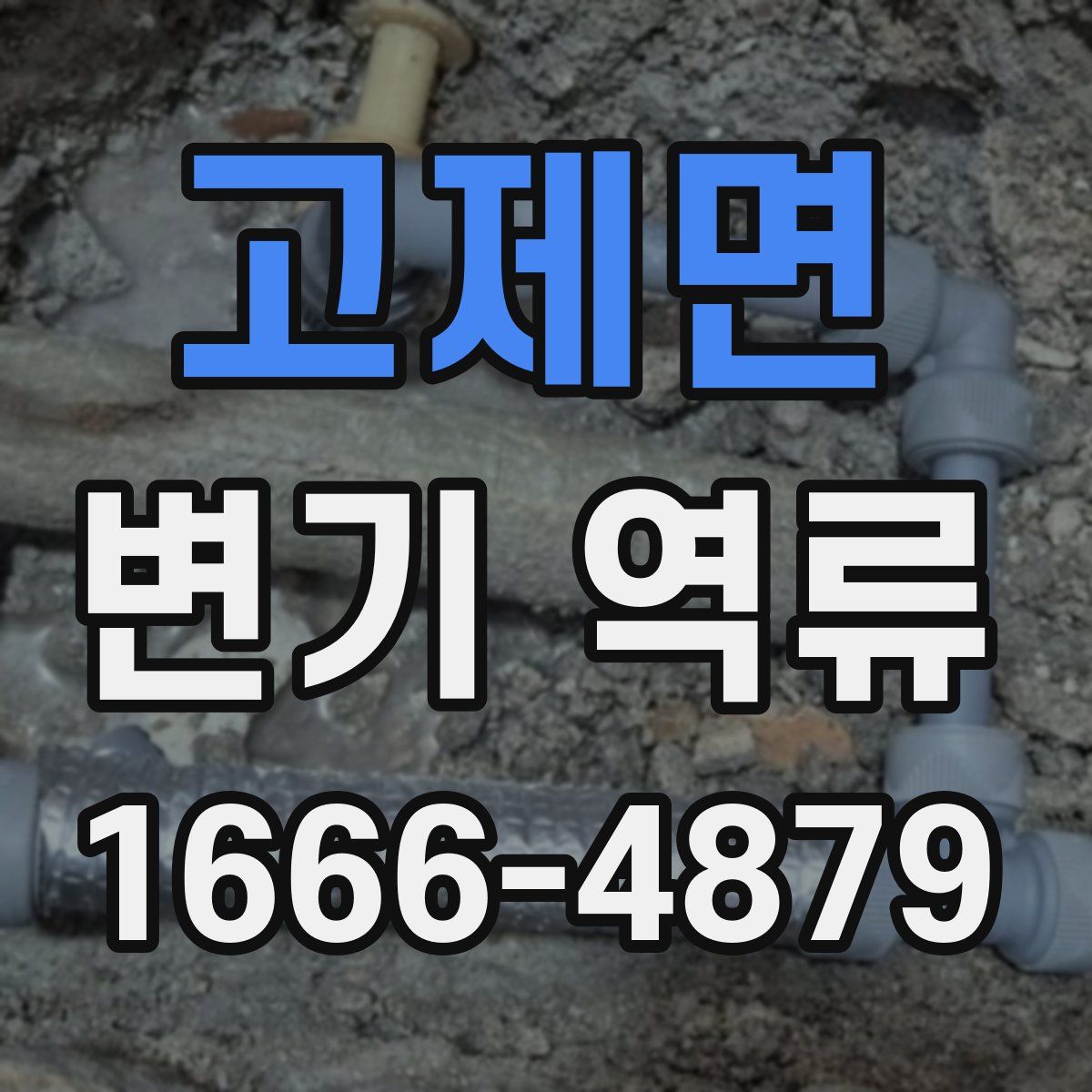 고제면 변기 역류