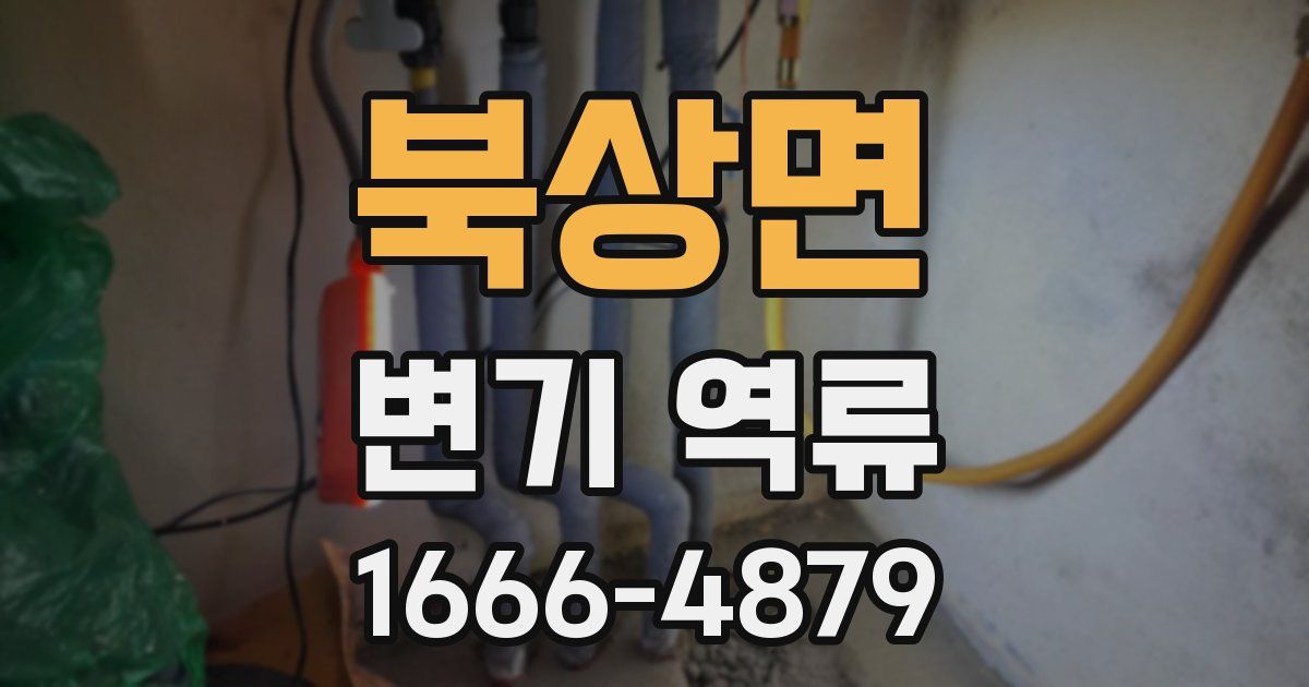 북상면 변기 역류