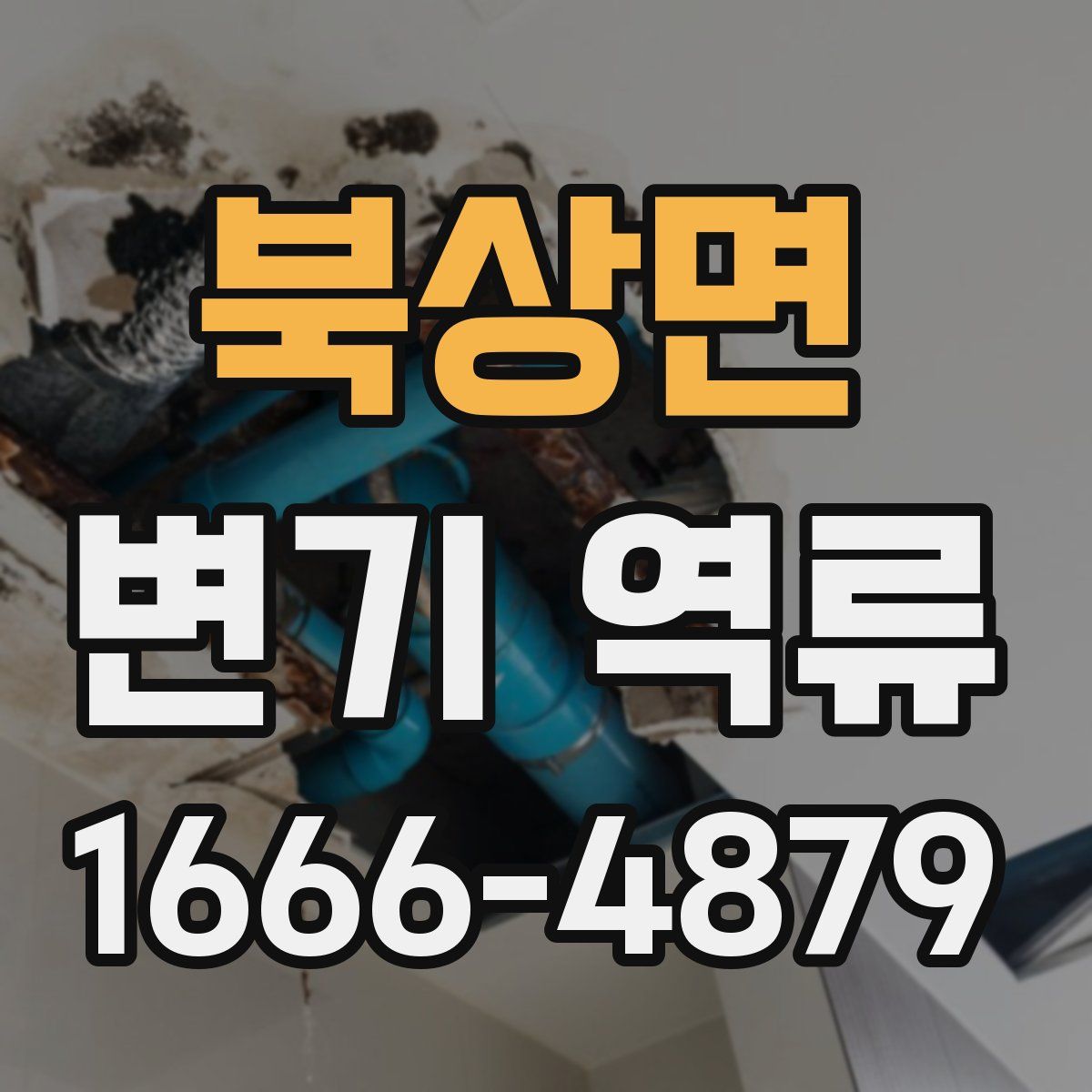 북상면 변기 역류