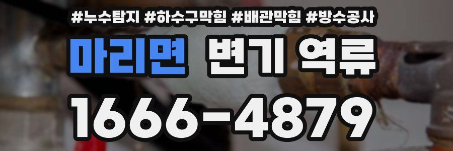 마리면 변기 역류
