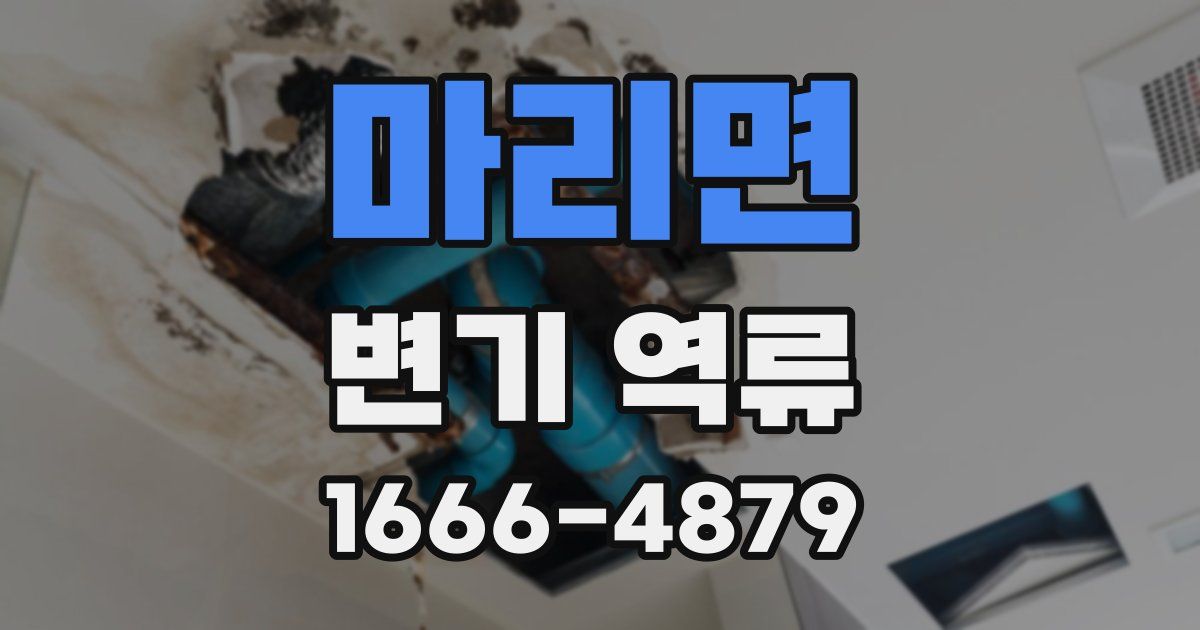 마리면 변기 역류