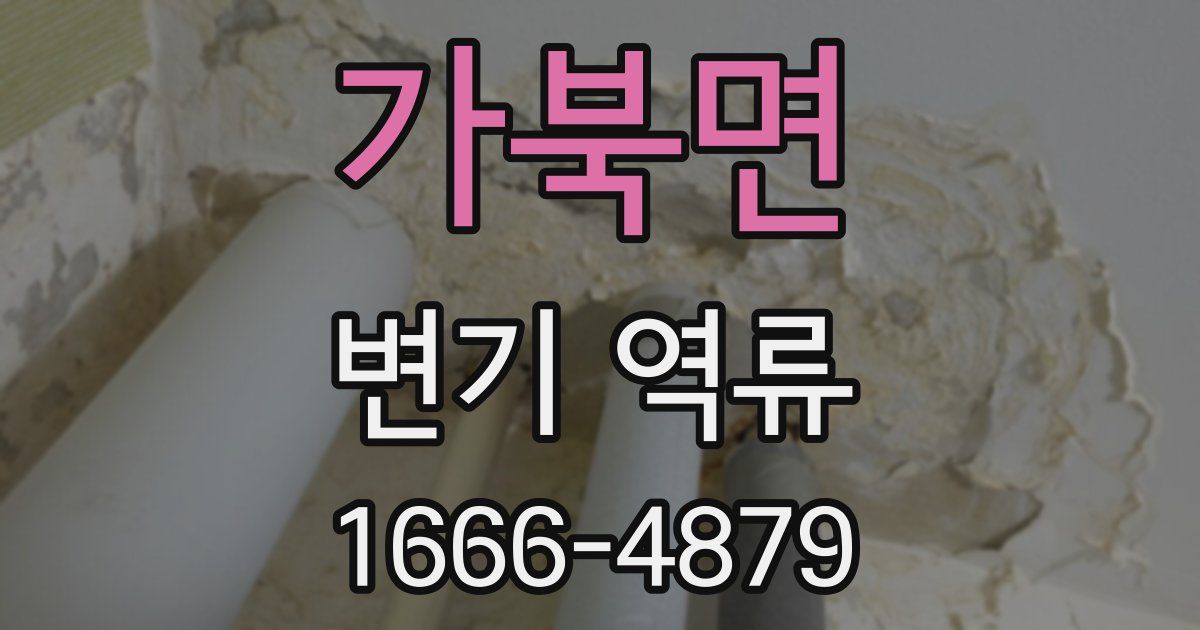 가북면 변기 역류