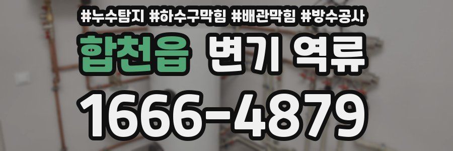 합천읍 변기 역류