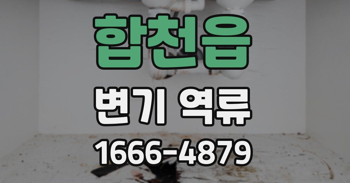 합천읍 변기 역류