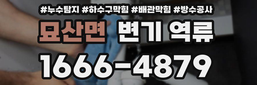 묘산면 변기 역류
