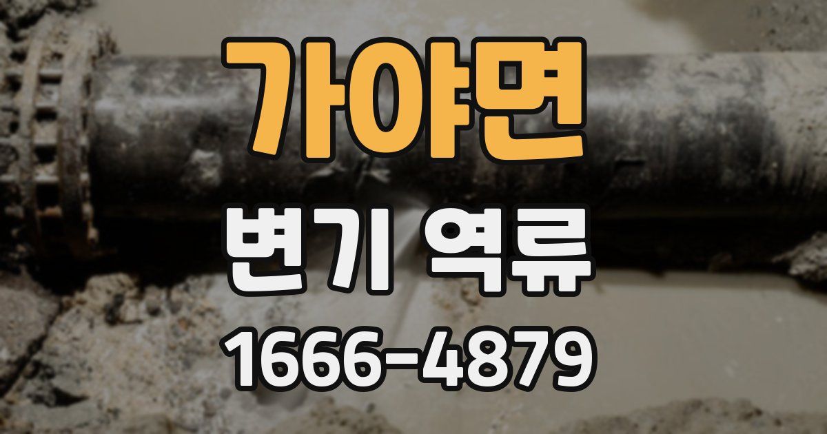 가야면 변기 역류