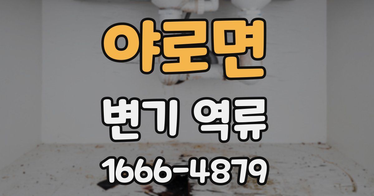 야로면 변기 역류