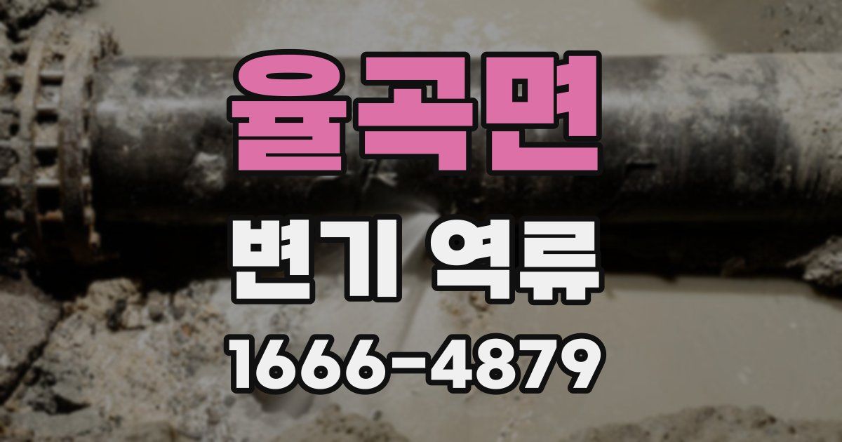 율곡면 변기 역류