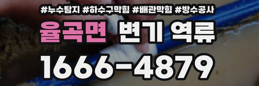 율곡면 변기 역류