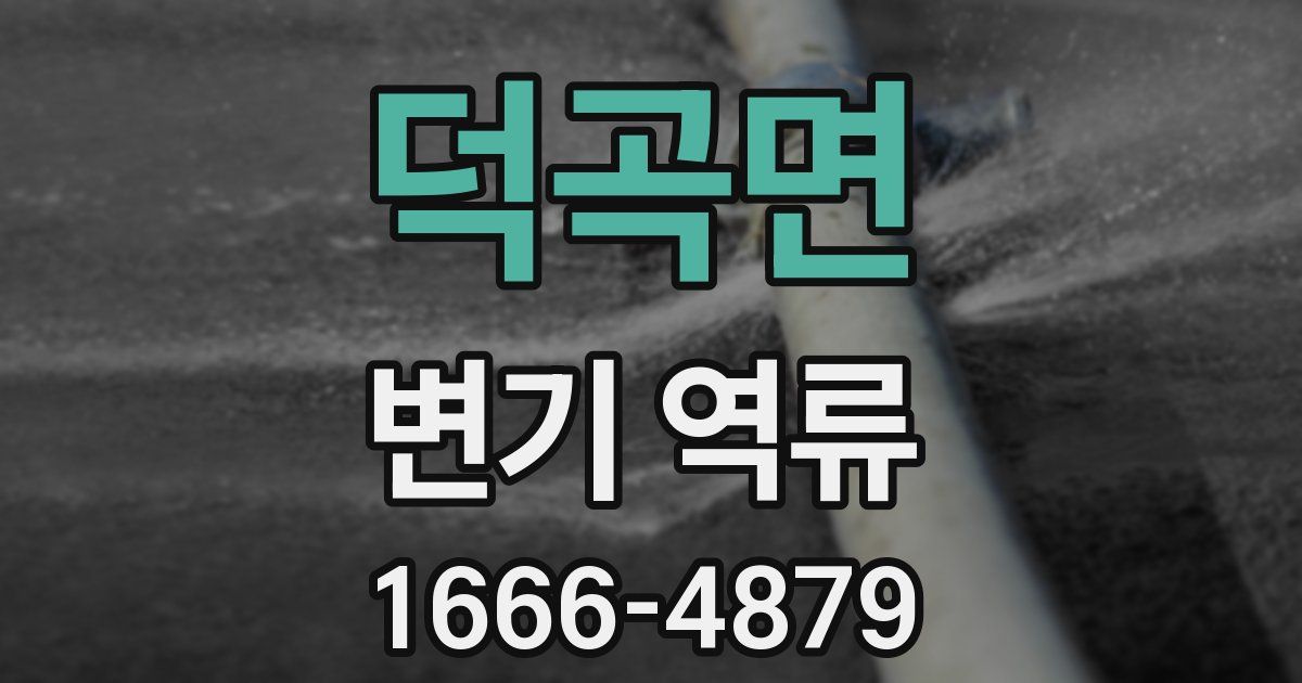 덕곡면 변기 역류