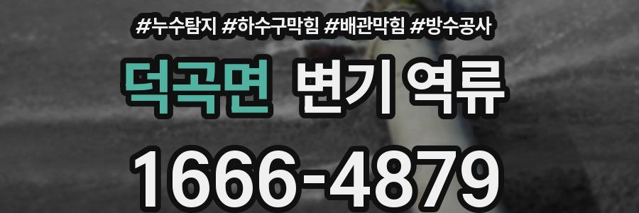 덕곡면 변기 역류
