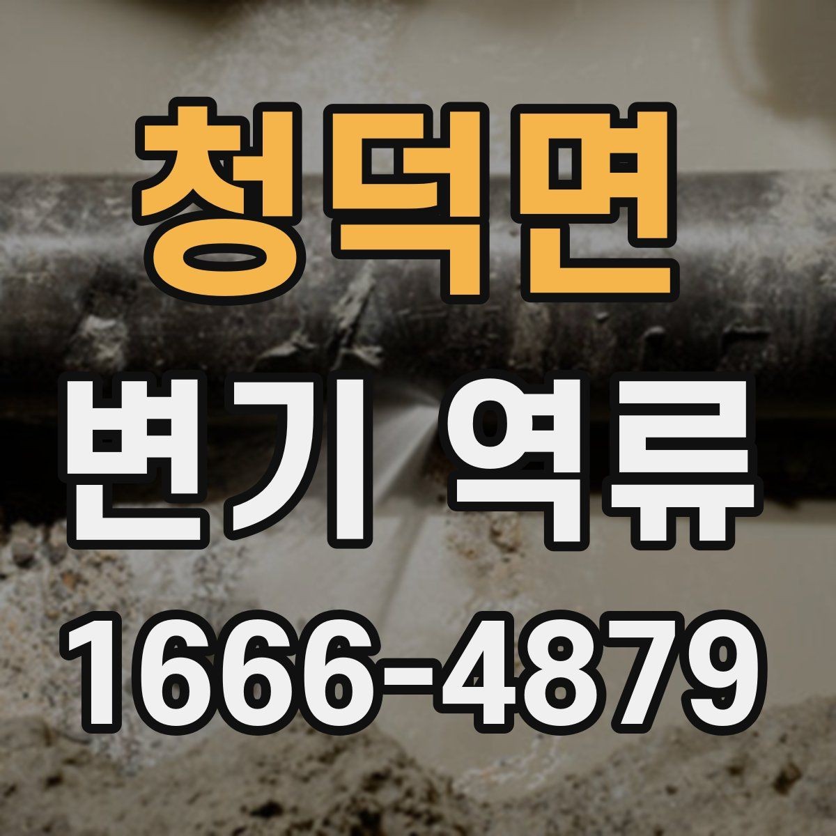 청덕면 변기 역류 예방을 위한 정기적인 확인 항목