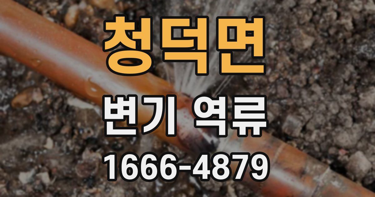 청덕면 변기 역류