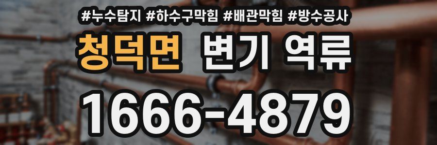 청덕면 변기 역류