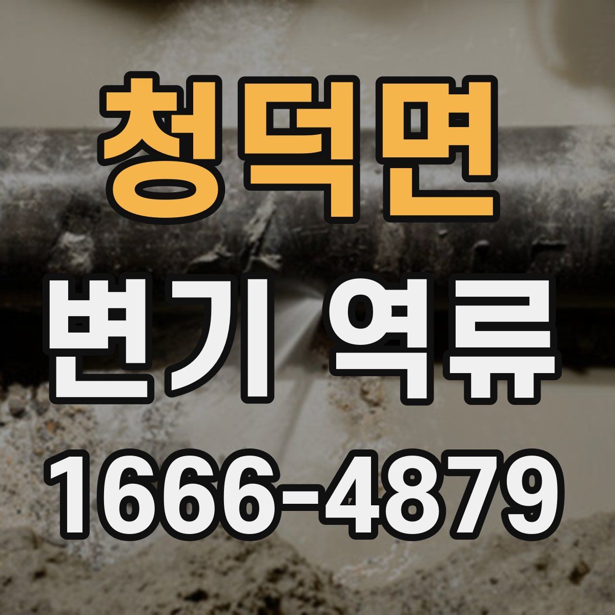 청덕면 변기 역류