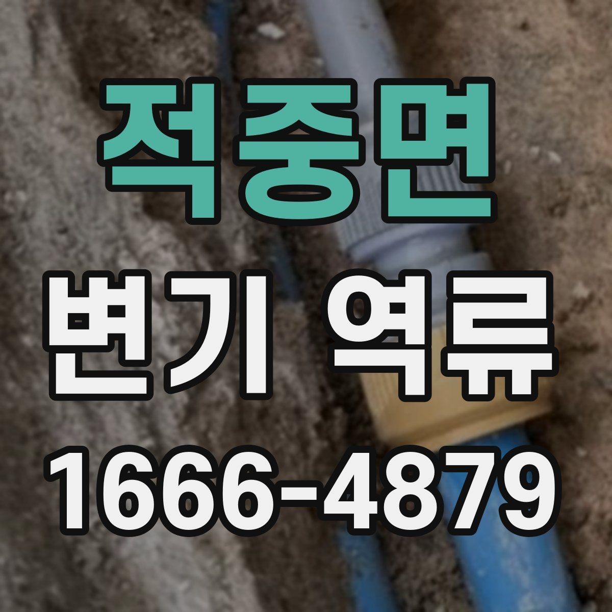 적중면 변기 역류 세정제 사용이 오히려 불편할 수 있는 경우