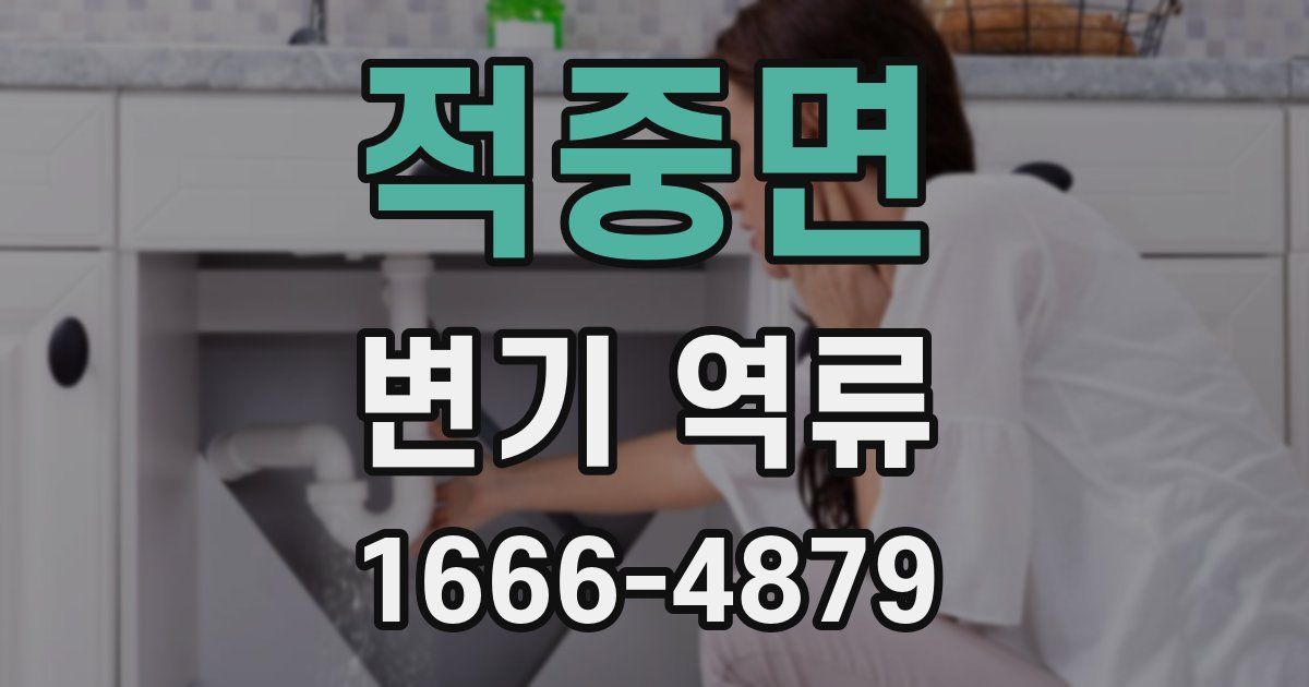 적중면 변기 역류