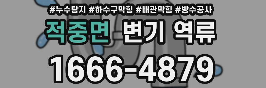 적중면 변기 역류