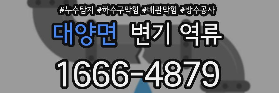 대양면 변기 역류