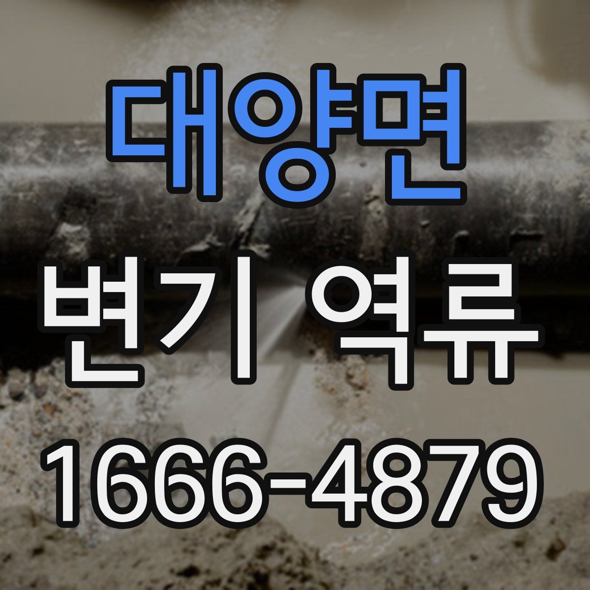 대양면 변기 역류